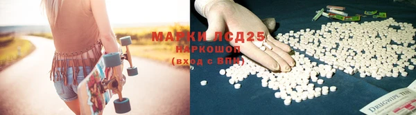 ПСИЛОЦИБИНОВЫЕ ГРИБЫ Алексин