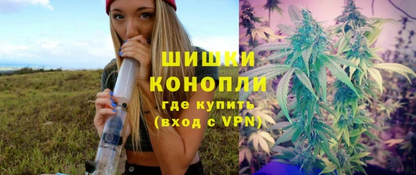 твердый Алзамай