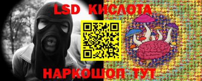 ГАЛЛЮЦИНОГЕННЫЕ ГРИБЫ Татарск