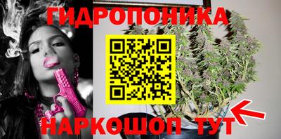 ГАЛЛЮЦИНОГЕННЫЕ ГРИБЫ Татарск