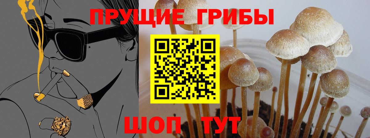 Псилоцибиновые грибы ЛСД  Вход с VPN  Новосибирск  Галлюциногенные грибы Cubensis 