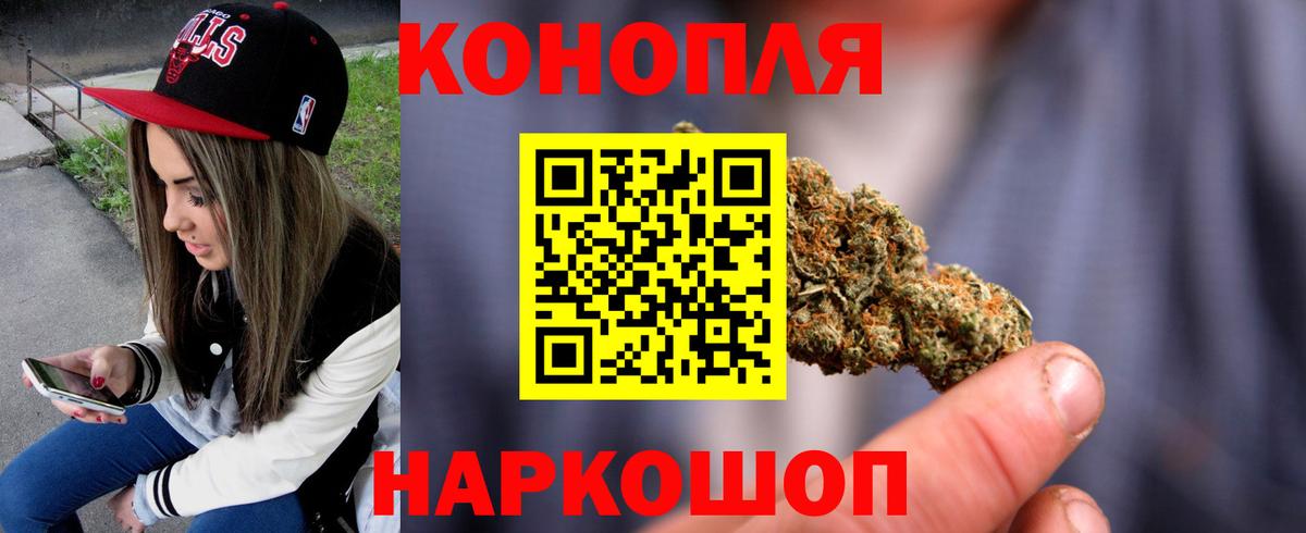 Каннабис OG Kush Новосибирск